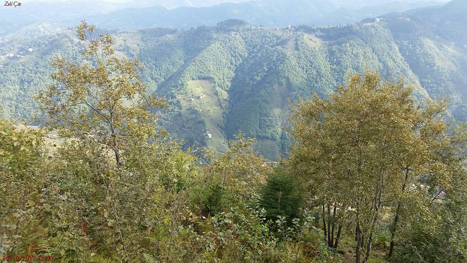 Arsin Yeşilköy Resimleri 18