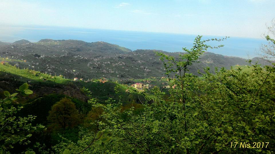 Arsin Yeşilköy Resimleri 19