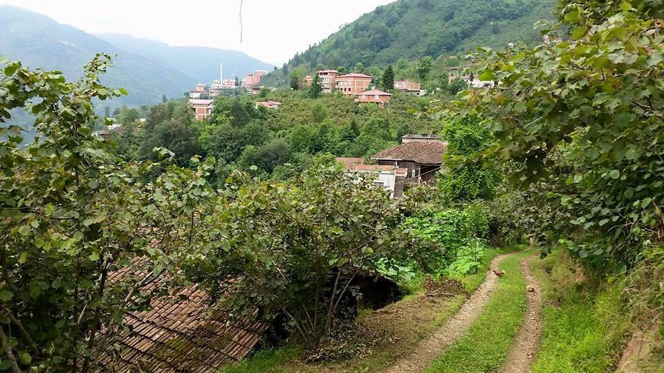 Arsin Yeşilköy Resimleri 2