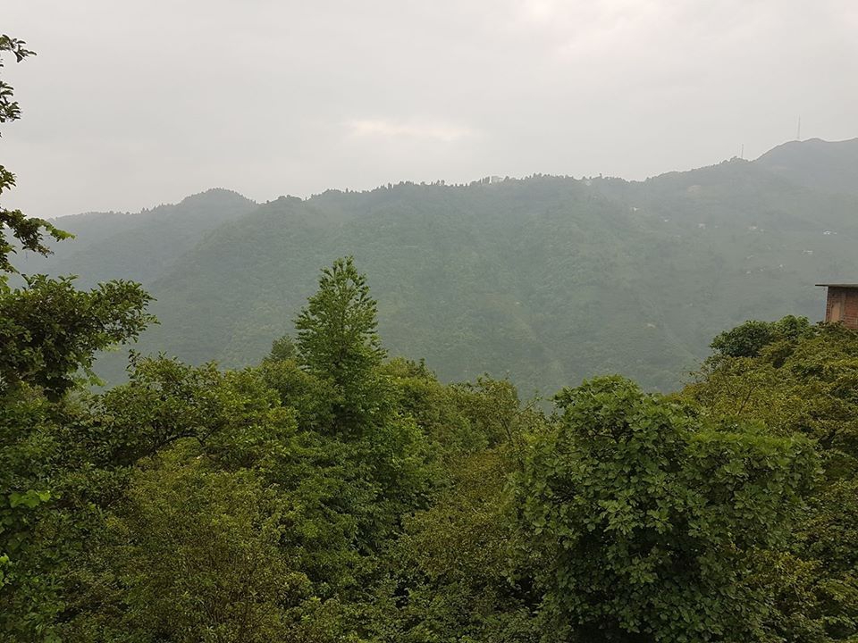 Arsin Yeşilköy Resimleri 20