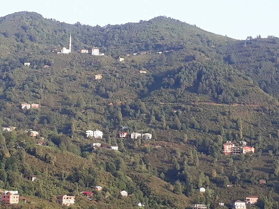 Arsin Yeşilköy Resimleri 21