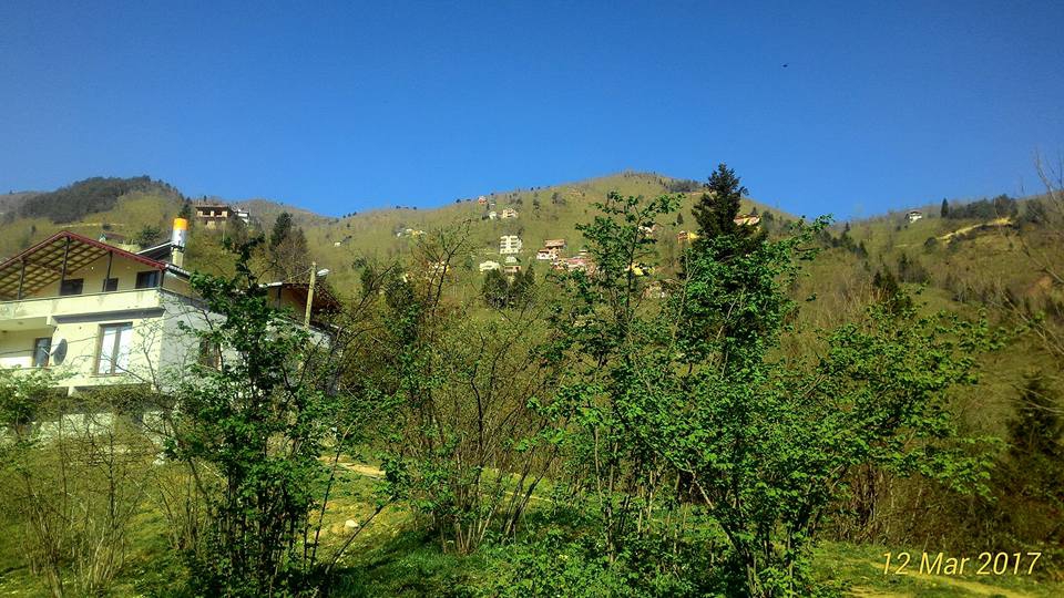 Arsin Yeşilköy Resimleri 22