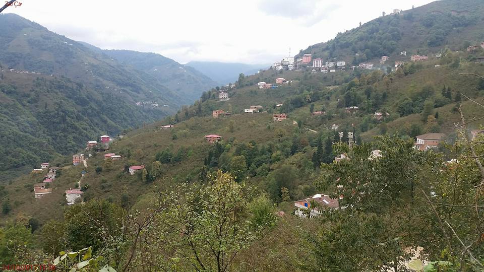 Arsin Yeşilköy Resimleri 23