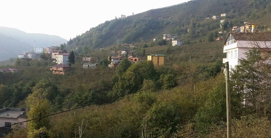 Arsin Yeşilköy Resimleri 26