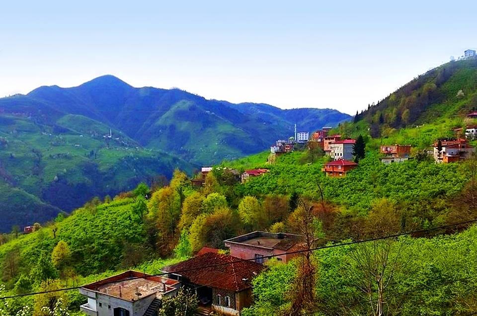 Arsin Yeşilköy Resimleri 29