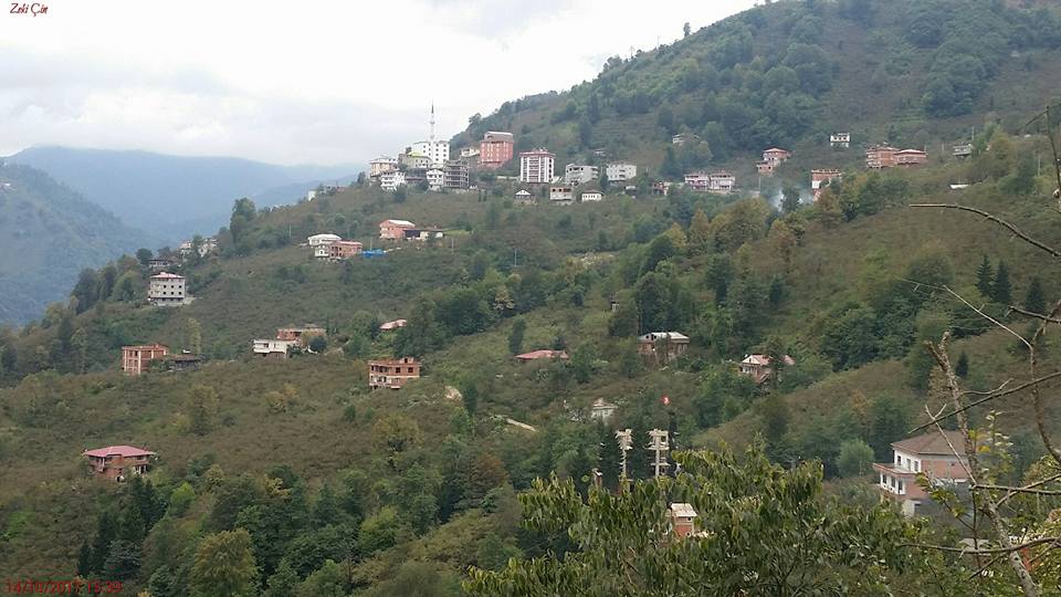 Arsin Yeşilköy Resimleri 4