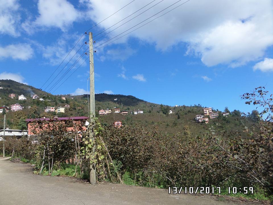 Arsin Yeşilköy Resimleri 7