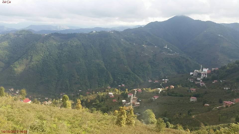 Arsin Yeşilköy Resimleri 9