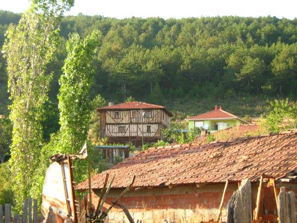 Araç Aksu Köyü Resimleri 10