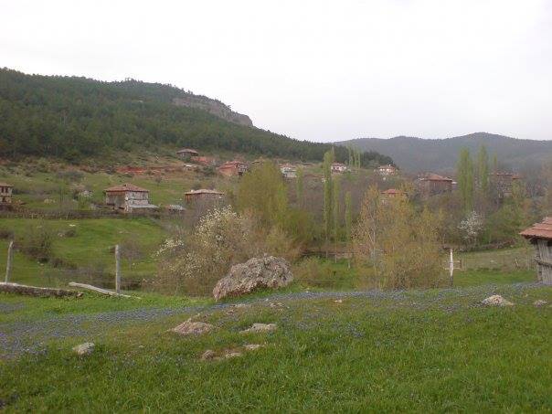 Araç Aksu Köyü Resimleri 8