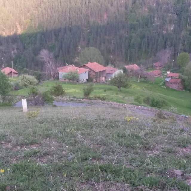 Araç Aktaş Köyü Resimleri 2