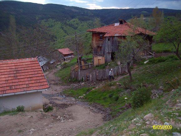 Araç Aktaş Köyü Resimleri 3