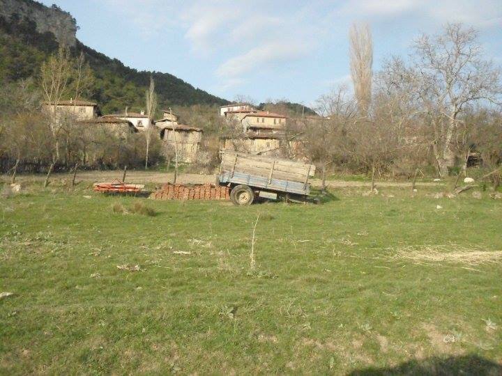 Araç Alakaya Köyü Resimleri 2