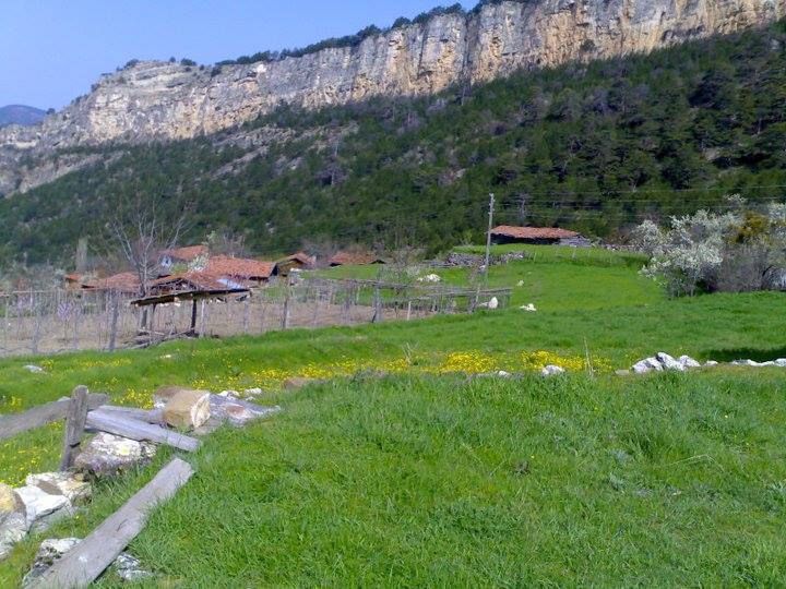 Araç Alakaya Köyü Resimleri 4