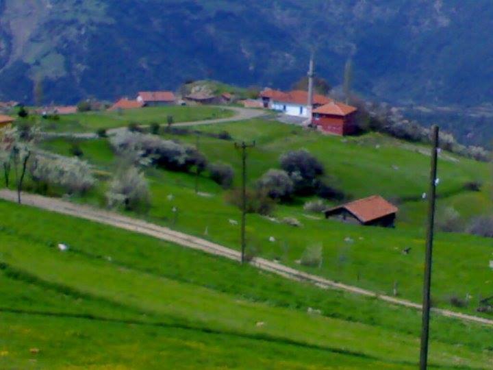 Araç Alakaya Köyü Resimleri 8