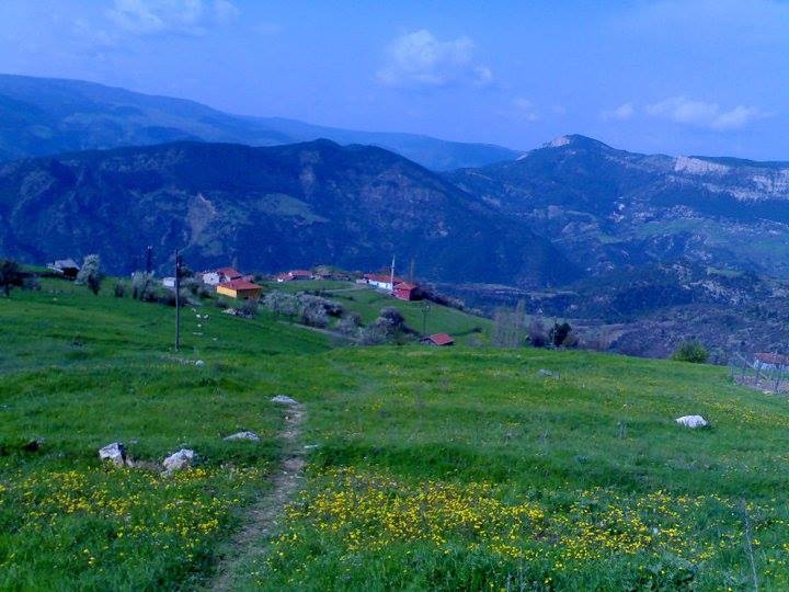 Araç Alakaya Köyü Resimleri 9