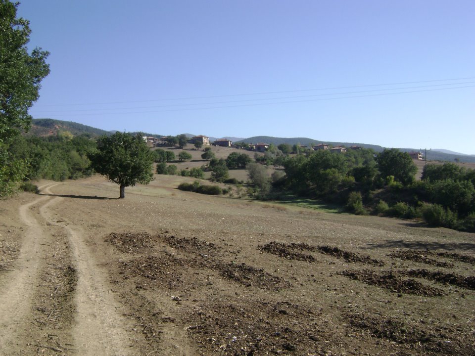 Araç Aşağıçobanözü Köyü Resimleri 9