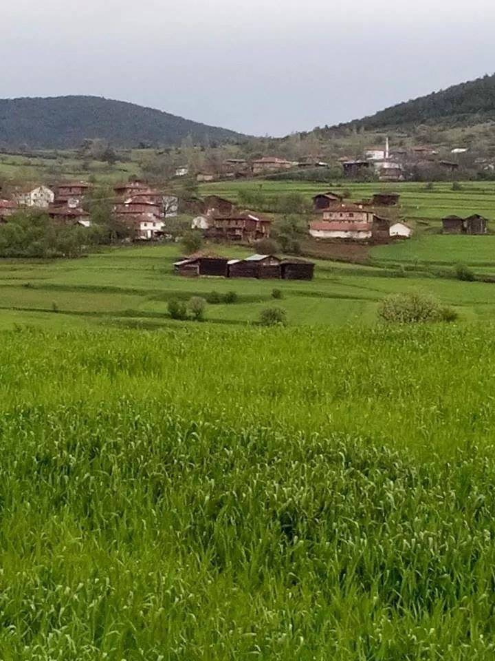 Araç Aşağıikizören Köyü Resimleri 4