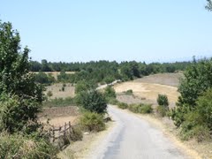 Araç Aşağıyazı Köyü Resimleri 1