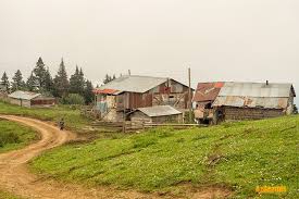 Araç Aşağıyazı Köyü Resimleri 2