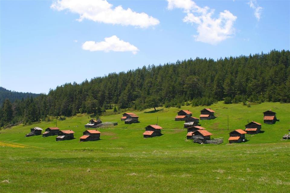 Araç Avlacık Köyü Resimleri 1