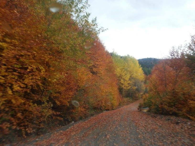 Araç Avlacık Köyü Resimleri 3