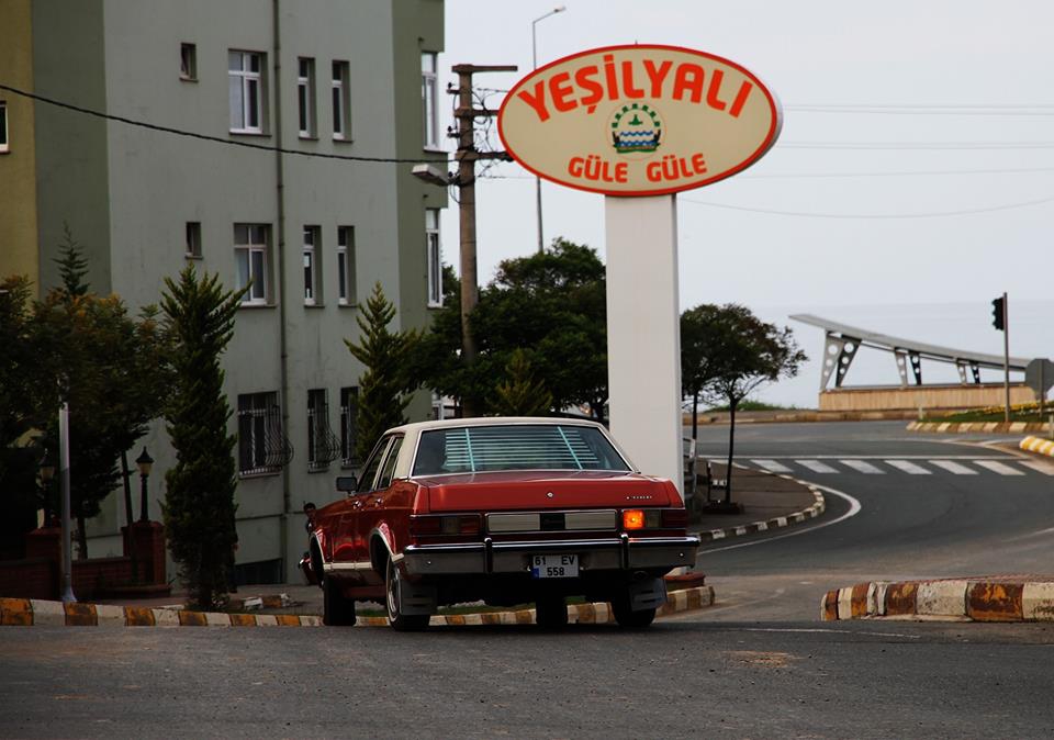 Arsin Yeşilyalı Resimleri 3