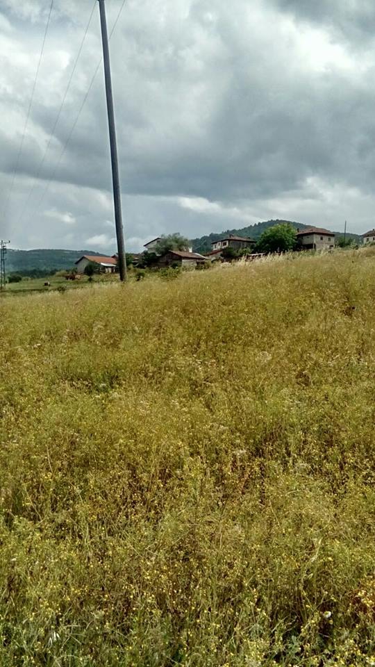 Araç Balçıkhisar Köyü Resimleri 9