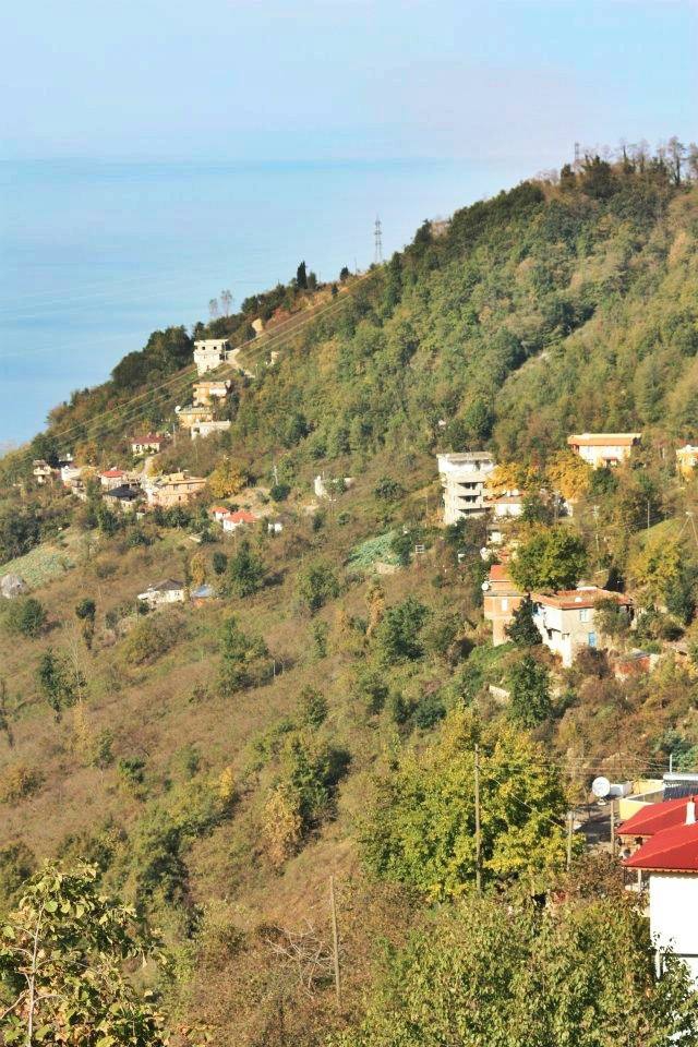 Görele Aralıkoz Köyü Resimleri 2