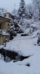 Görele Aralıkoz Köyü Resimleri 3