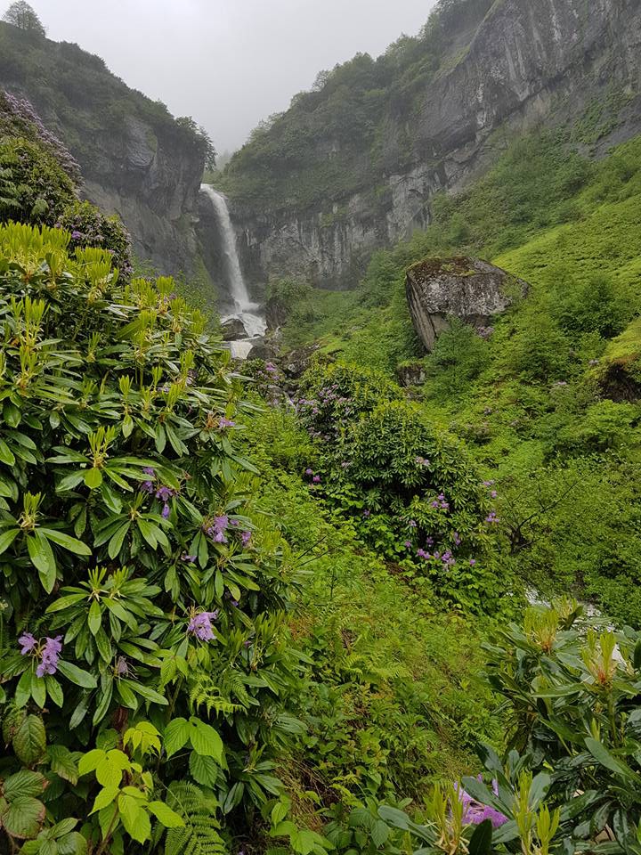 Görele Beşirli Köyü Resimleri 1