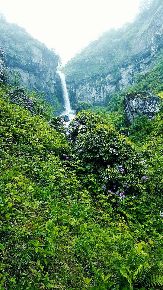 Görele Beşirli Köyü Resimleri 2