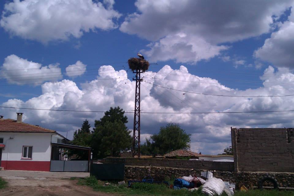 Lalapaşa Hanlıyenice Köyü Resimleri 1