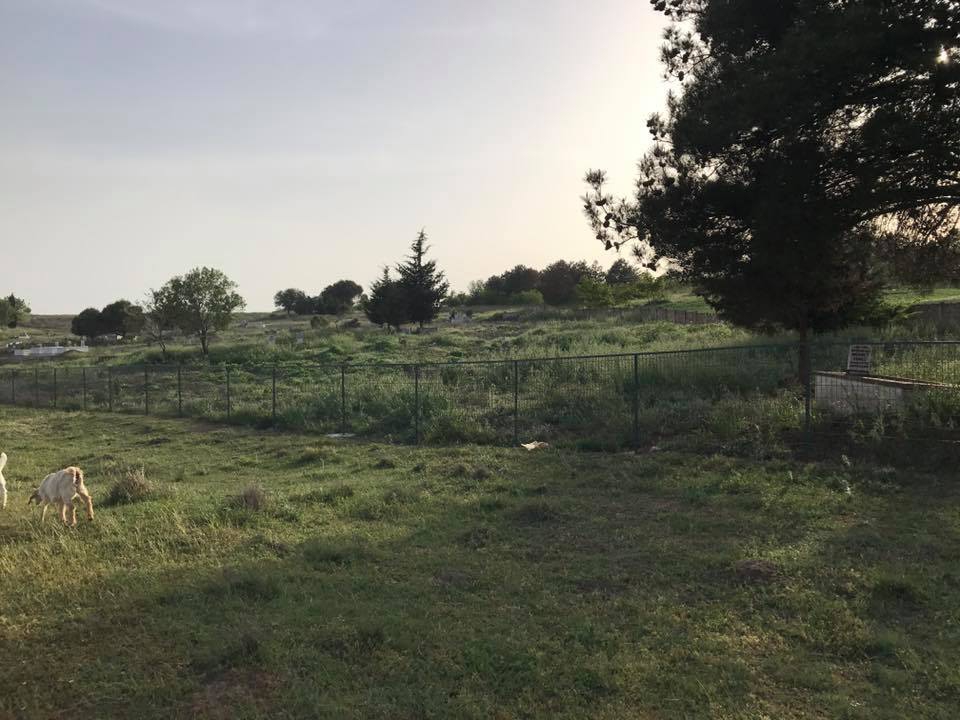 Lalapaşa Hanlıyenice Köyü Resimleri 7