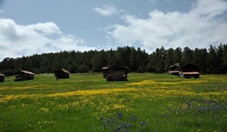 Araç Başköy Köyü Resimleri 1