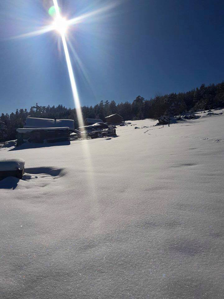 Araç Bektüre Köyü Resimleri 2