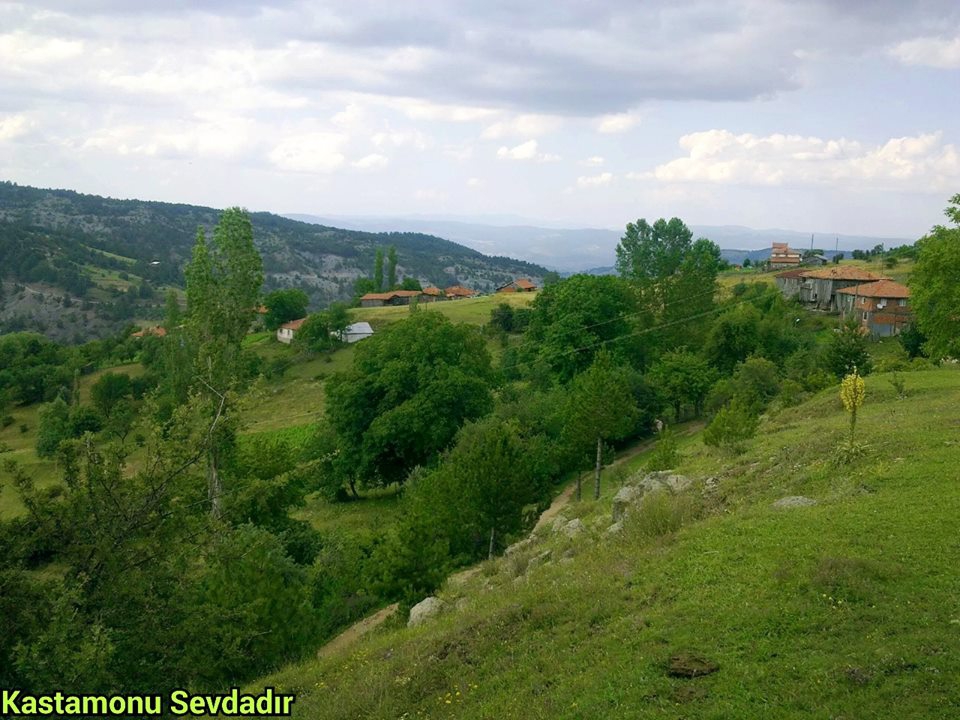 Araç Bektüre Köyü Resimleri 6