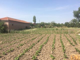 Araç Belen Köyü Resimleri 2