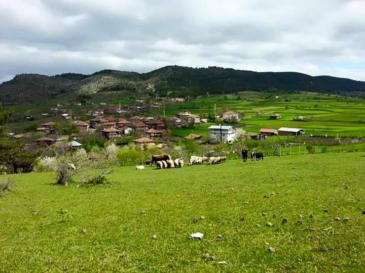 Araç Belkavak Köyü Resimleri 7