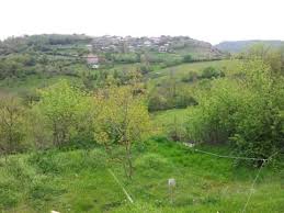 Araç Celepler Köyü Resimleri 3