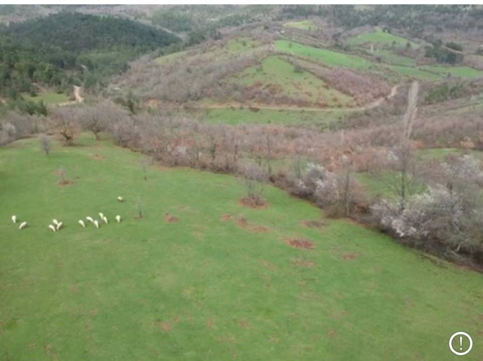 Araç Çalköy Köyü Resimleri 3