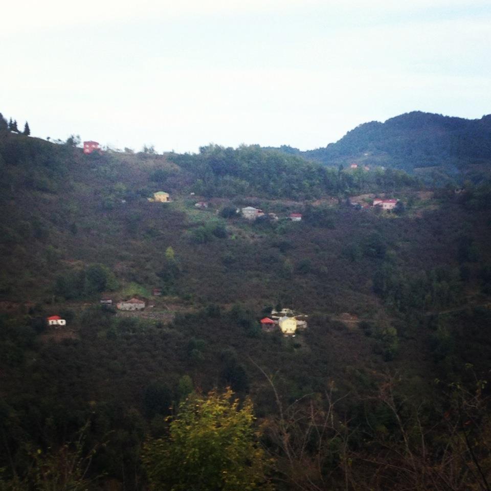 Beşikdüzü Ağaçlı Köyü Resimleri 12