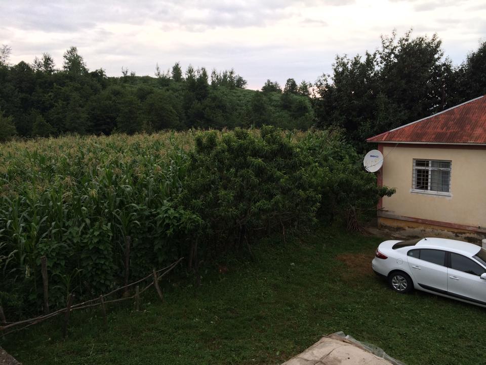 Beşikdüzü Ağaçlı Köyü Resimleri 4