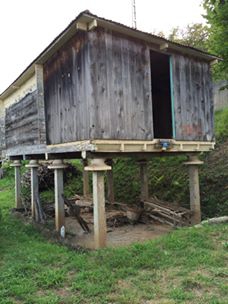 Beşikdüzü Ağaçlı Köyü Resimleri 5