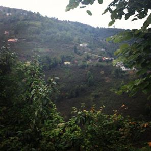 Beşikdüzü Ağaçlı Köyü Resimleri 7