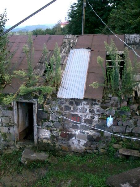 Beşikdüzü Ağaçlı Köyü Resimleri 8