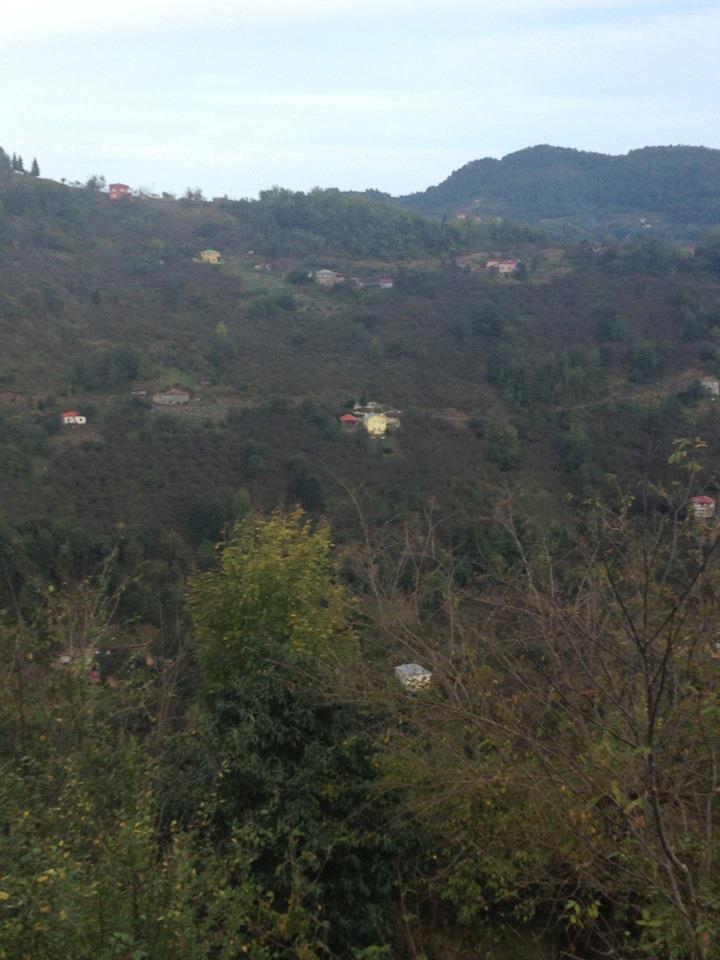 Beşikdüzü Ağaçlı Köyü Resimleri 9