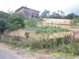 Araç Çavuşköy Köyü Resimleri 6