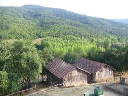 Araç Çavuşköy Köyü Resimleri 9