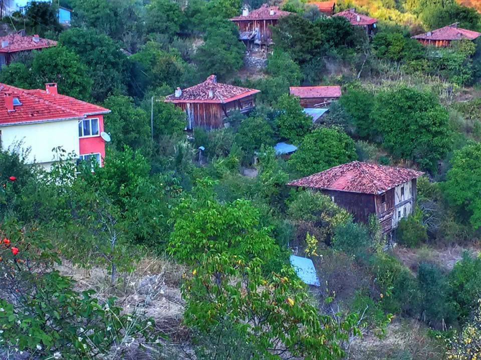 Araç Çerçiler Köyü Resimleri 4